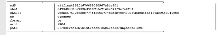 capa_output.txt