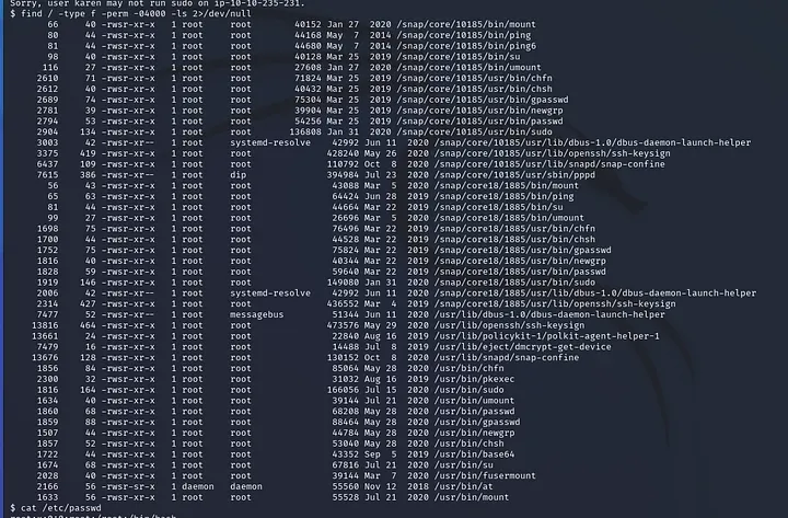 list of files with SUID or GUID bits