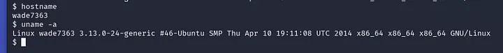 hostname & uname -a