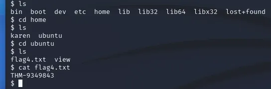 cat /home/ubuntu/flag4.txt