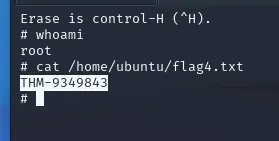 flag4.txt contents