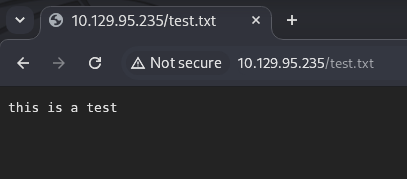 test.txt written to web root