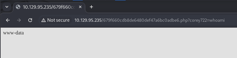 webshell whoami output